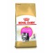 Royal Canin Persian Kitten Food 2 Kg Petshop18.com